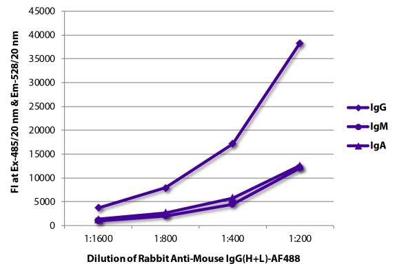 Image: Rabbit IgG anti-Mouse IgG (H+L)-Alexa Fluor 488, MinX none