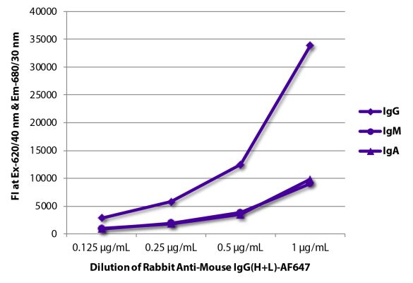 Image: Rabbit IgG anti-Mouse IgG (H+L)-Alexa Fluor 647, MinX none