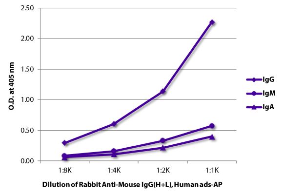 Abbildung: Kaninchen IgG anti-Maus IgG (H+L)-Alk. Phos., MinX Hu
