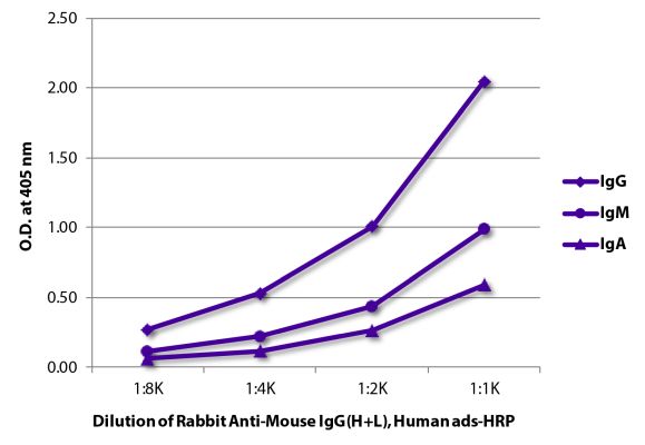 Abbildung: Kaninchen IgG anti-Maus IgG (H+L)-HRPO, MinX Hu