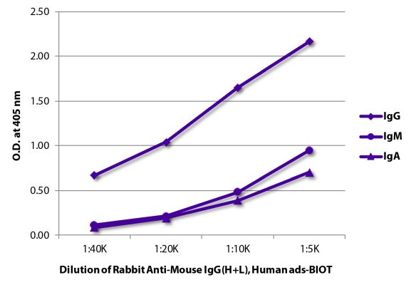 Abbildung: Kaninchen IgG anti-Maus IgG (H+L)-Biotin, MinX Hu