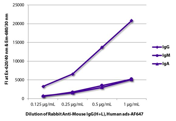 Abbildung: Kaninchen IgG anti-Maus IgG (H+L)-Alexa Fluor 647, MinX Hu