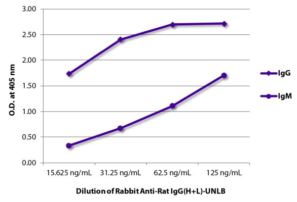 Abbildung: Kaninchen IgG anti-Ratte IgG (H+L)-unkonj., MinX keine