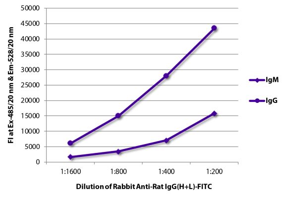 Abbildung: Kaninchen IgG anti-Ratte IgG (H+L)-FITC, MinX keine