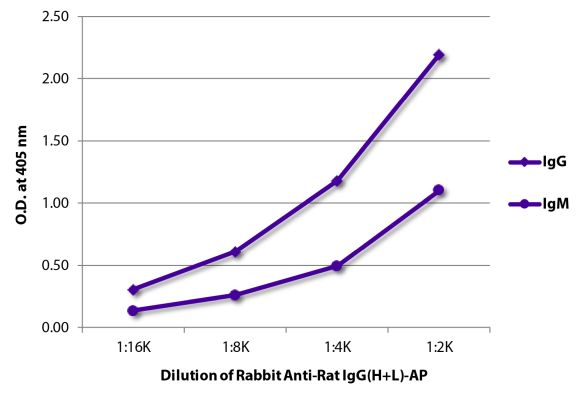 Abbildung: Kaninchen IgG anti-Ratte IgG (H+L)-Alk. Phos., MinX keine