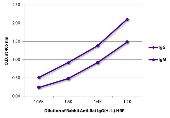 Abbildung: Kaninchen IgG anti-Ratte IgG (H+L)-HRPO, MinX keine