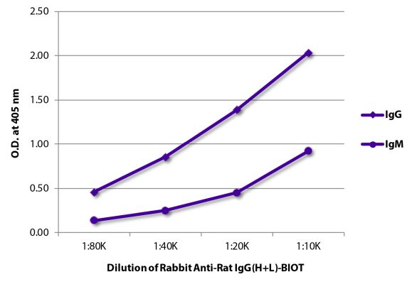 Abbildung: Kaninchen IgG anti-Ratte IgG (H+L)-Biotin, MinX keine