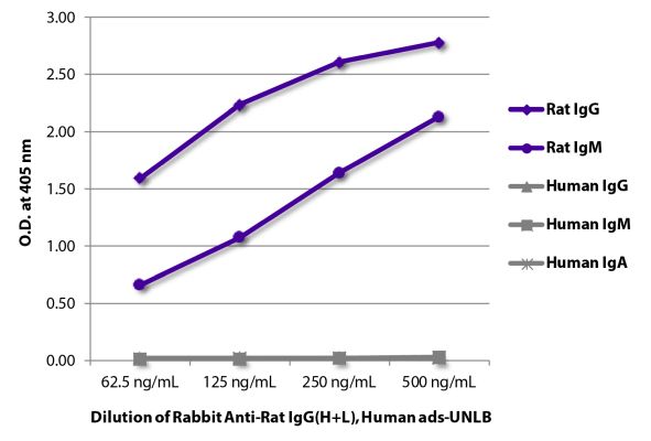 Image: Rabbit IgG anti-Rat IgG (H+L)-unconj., MinX Hu