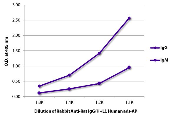 Abbildung: Kaninchen IgG anti-Ratte IgG (H+L)-Alk. Phos., MinX Hu