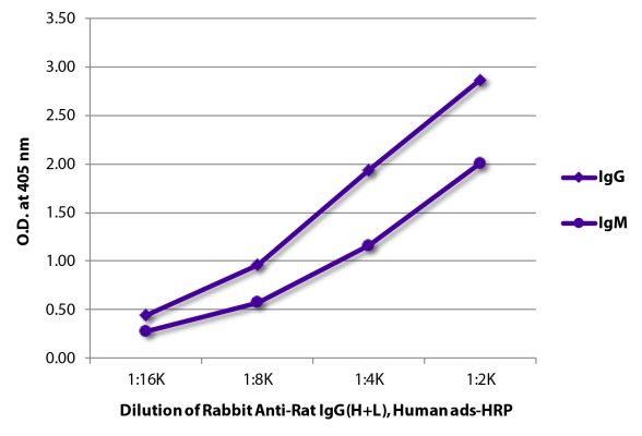 Abbildung: Kaninchen IgG anti-Ratte IgG (H+L)-HRPO, MinX Hu