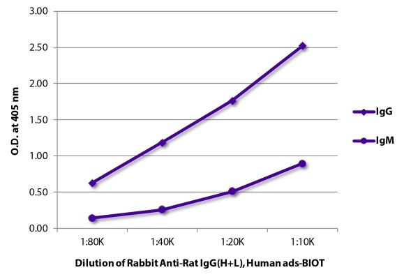 Image: Rabbit IgG anti-Rat IgG (H+L)-Biotin, MinX Hu