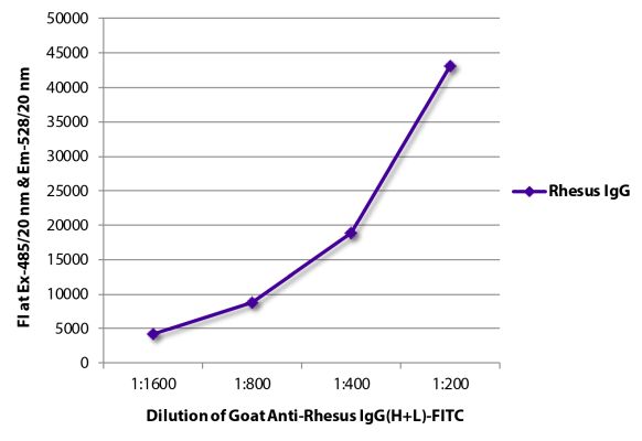 Abbildung: Ziege IgG anti-Affe IgG (H+L)-FITC, MinX keine