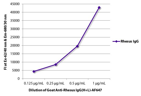 Abbildung: Ziege IgG anti-Affe IgG (H+L)-Alexa Fluor 647, MinX keine