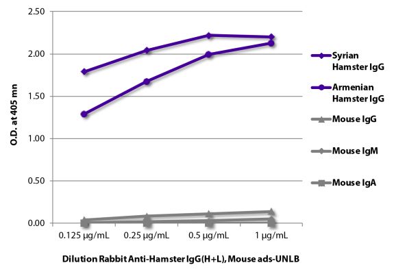 Image: Rabbit IgG anti-Hamster generally IgG (H+L)-unconj., MinX Ms