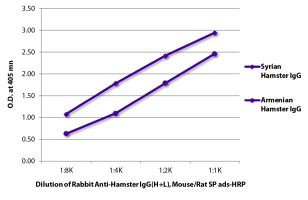 Abbildung: Kaninchen IgG anti-Hamster allgemein IgG (H+L)-HRPO, MinX Ms,Rt