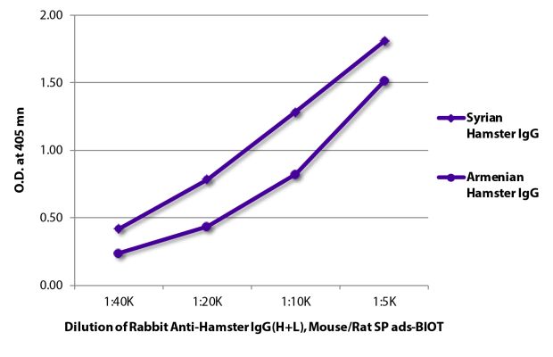 Abbildung: Kaninchen IgG anti-Hamster allgemein IgG (H+L)-Biotin, MinX Ms,Rt