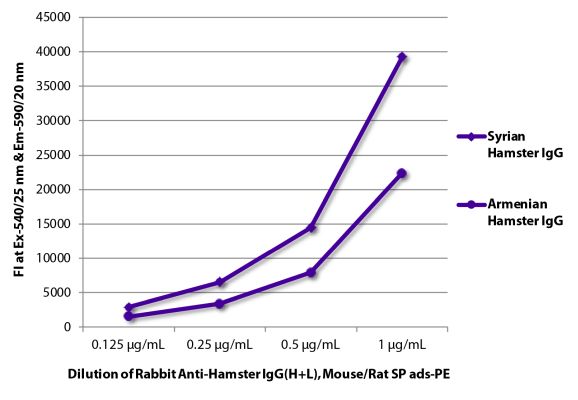 Abbildung: Kaninchen IgG anti-Hamster allgemein IgG (H+L)-RPE, MinX Ms,Rt
