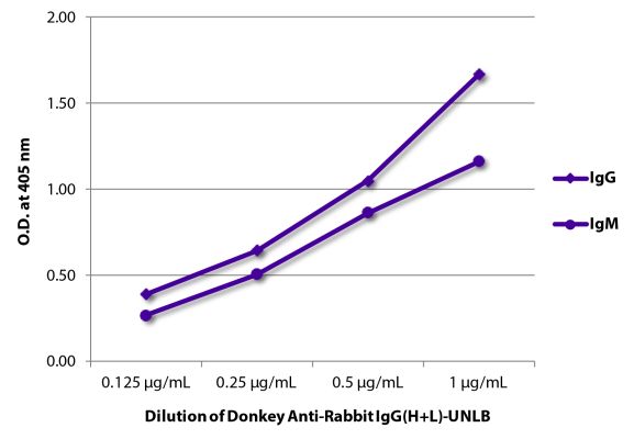 Image: Donkey IgG anti-Rabbit IgG (H+L)-unconj., MinX none