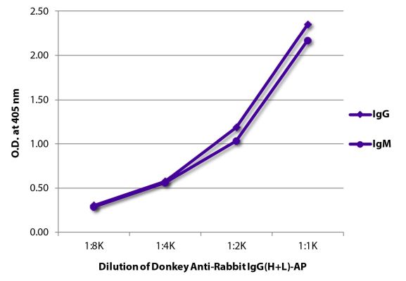 Abbildung: Esel IgG anti-Kaninchen IgG (H+L)-Alk. Phos., MinX keine
