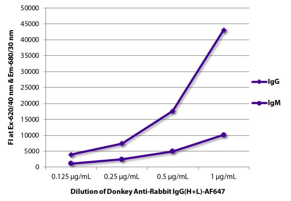 Image: Donkey IgG anti-Rabbit IgG (H+L)-Alexa Fluor 647, MinX none