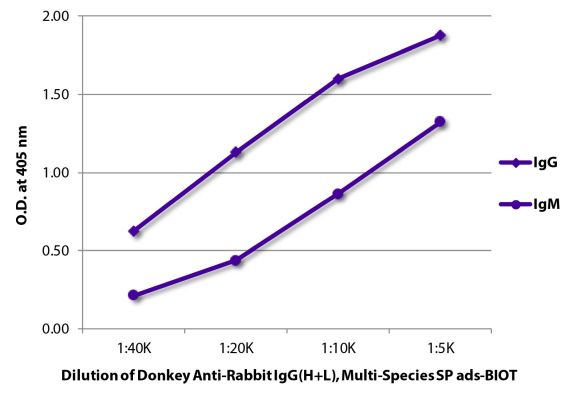 Image: Donkey IgG anti-Rabbit IgG (H+L)-Biotin, MinX Hu,Ms,Rt,Bo,Ho,Ha,Go,Sh,Ck,Gp