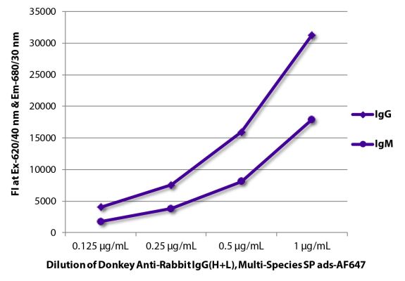 Image: Donkey IgG anti-Rabbit IgG (H+L)-Alexa Fluor 647, MinX Hu,Ms,Rt,Bo,Ho,Ha,Go,Sh,Ck,Gp