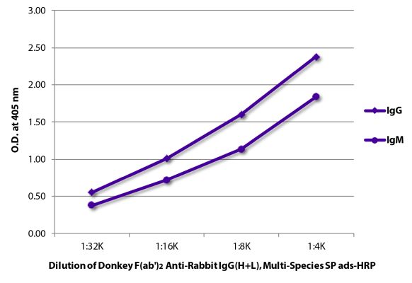 Image: Donkey F(ab')2 anti-Rabbit IgG (H+L)-HRPO, MinX Hu,Ms,Rt,Bo,Ho,Ha,Go,Sh,Ck,Gp