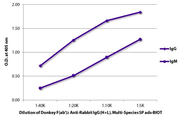 Image: Donkey F(ab')2 anti-Rabbit IgG (H+L)-Biotin, MinX Hu,Ms,Rt,Bo,Ho,Ha,Go,Sh,Ck,Gp