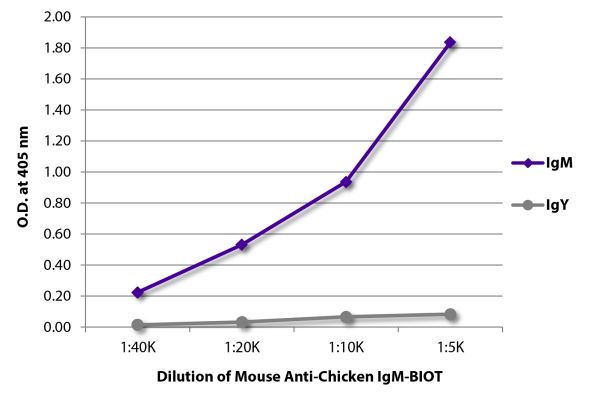 Abbildung: Maus IgG anti-Huhn IgM (µ)-Biotin, MinX keine