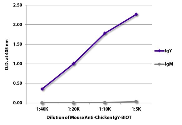 Abbildung: Maus IgG anti-Huhn IgY (H+L)-Biotin, MinX keine