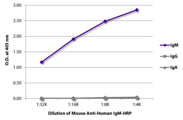 Abbildung: Maus IgG anti-Human IgM (µ)-HRPO, MinX keine