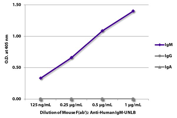 Abbildung: Maus F(ab')2 anti-Human IgM (µ)-unkonj., MinX keine