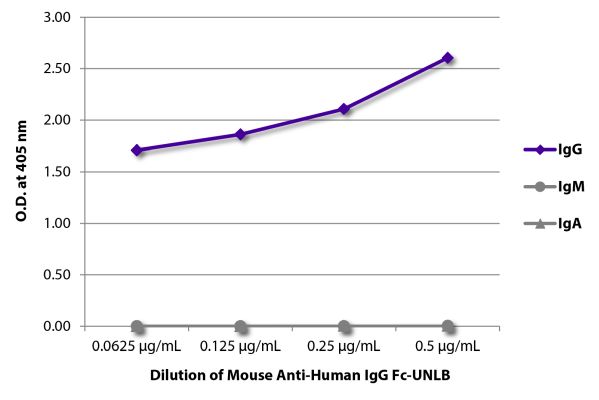 Abbildung: Maus IgG anti-Human IgG (Fc)-unkonj., MinX keine