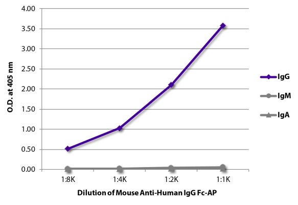 Abbildung: Maus IgG anti-Human IgG (Fc)-Alk. Phos., MinX keine