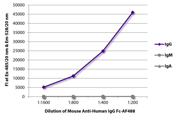 Abbildung: Maus IgG anti-Human IgG (Fc)-Alexa Fluor 488, MinX keine