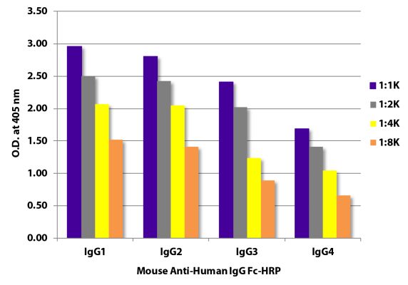 Abbildung: Maus IgG anti-Human IgG (Fc)-HRPO, MinX keine