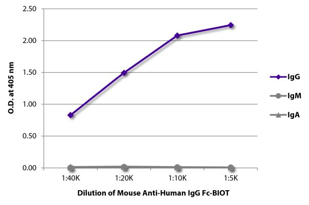 Abbildung: Maus IgG anti-Human IgG (Fc)-Biotin, MinX keine