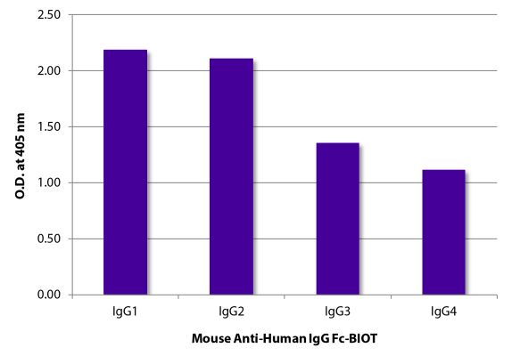 Image: Mouse IgG anti-Human IgG (Fc)-Biotin, MinX none