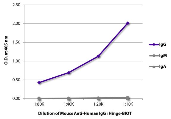 Abbildung: Maus IgG anti-Human IgG1 (Hinge)-Biotin, MinX keine