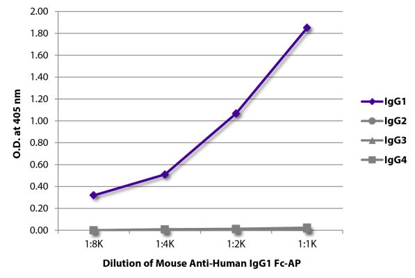Abbildung: Maus IgG anti-Human IgG1 (Fc)-Alk. Phos., MinX keine