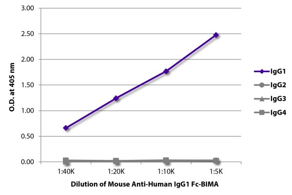 Abbildung: Maus IgG anti-Human IgG1 (Fc)-BIMA, MinX keine