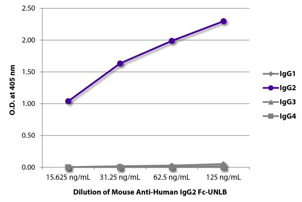 Abbildung: Maus IgG anti-Human IgG2 (Fc)-unkonj., MinX keine