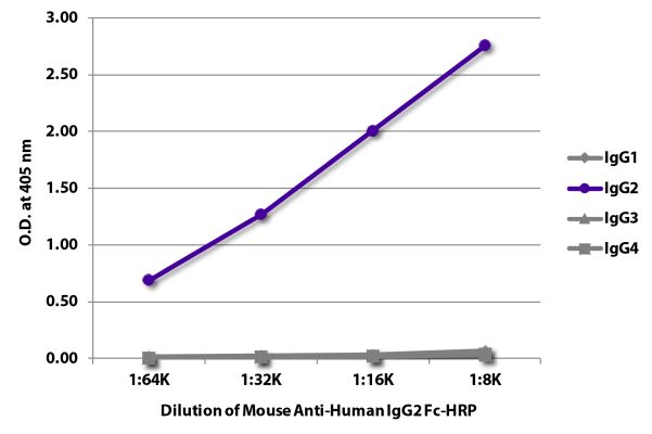 Abbildung: Maus IgG anti-Human IgG2 (Fc)-HRPO, MinX keine