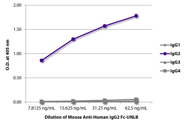 Abbildung: Maus IgG anti-Human IgG2 (Fc)-unkonj., MinX keine