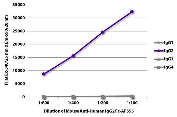 Image: Mouse IgG anti-Human IgG2 (Fc)-Alexa Fluor 555, MinX none