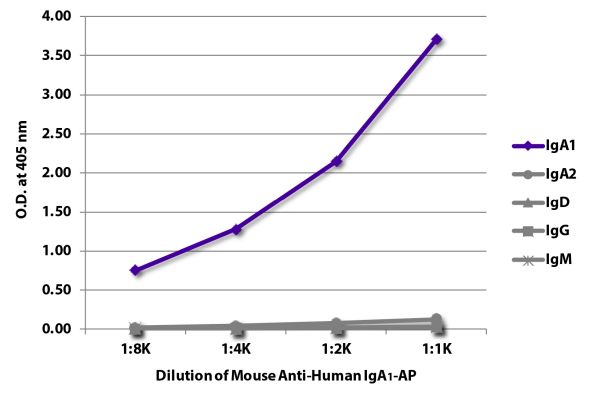 Abbildung: Maus IgG anti-Human IgA1-Alk. Phos., MinX keine