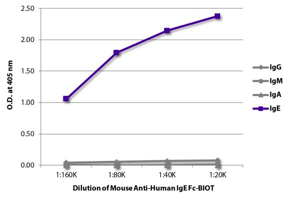Abbildung: Maus IgG anti-Human IgE-Biotin, MinX keine