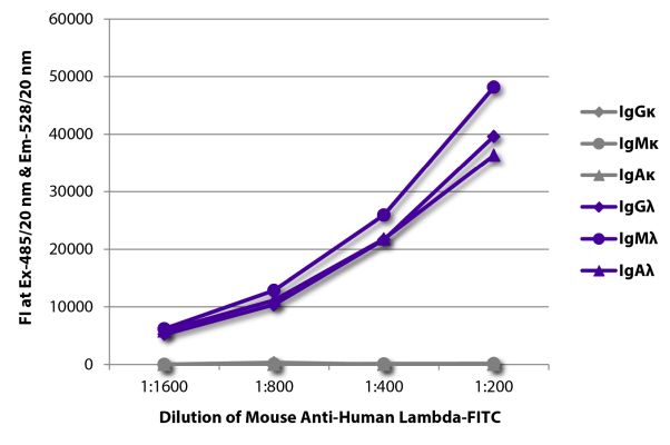 Abbildung: Maus IgG anti-Human Lambda (leichte Kette)-FITC, MinX keine