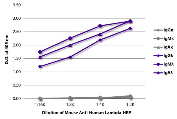 Image: Mouse IgG anti-Human Lambda light chain-HRPO, MinX none
