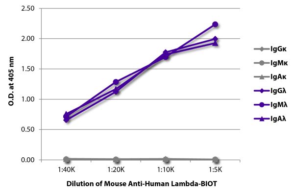 Abbildung: Maus IgG anti-Human Lambda (leichte Kette)-Biotin, MinX keine